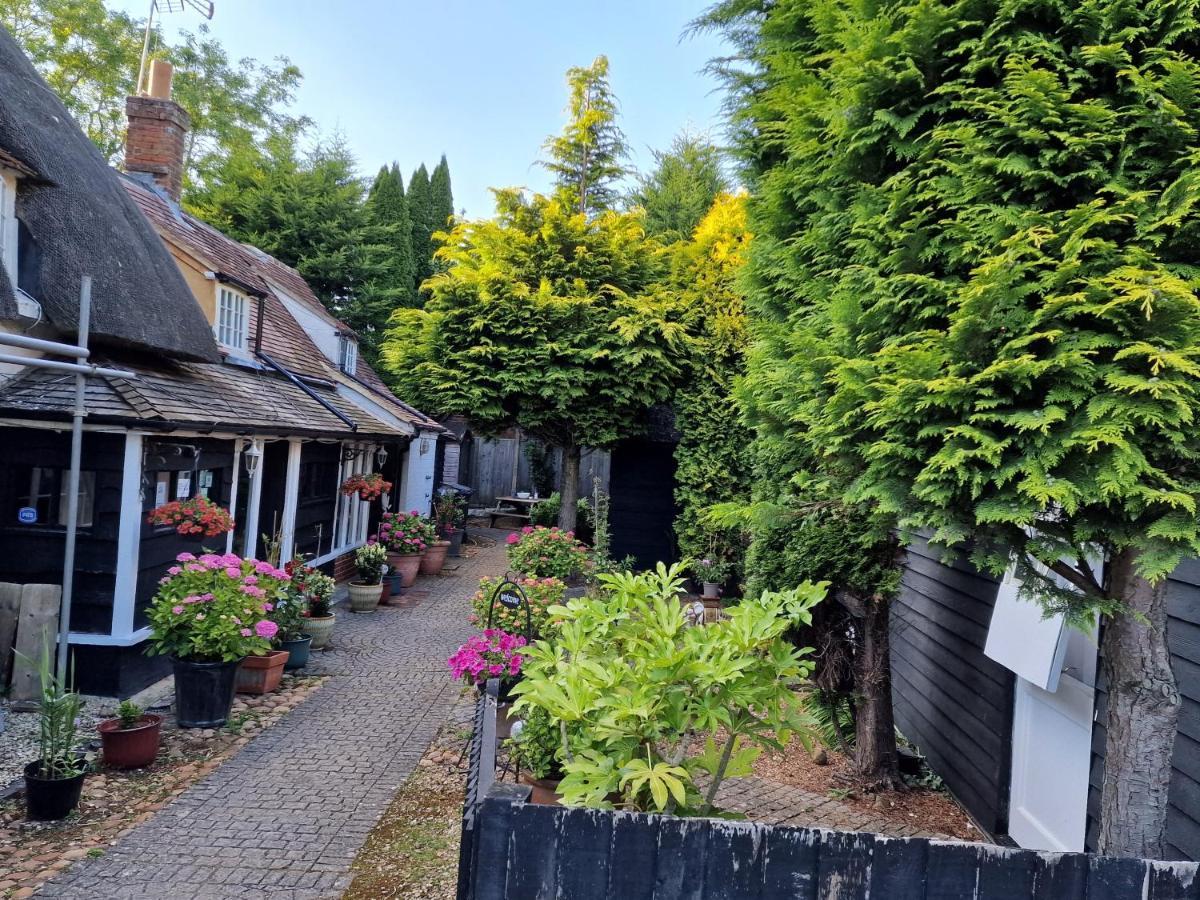 Clifton Hampden B&B Zewnętrze zdjęcie